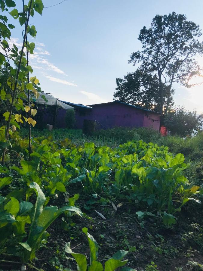 Hom'S Homestay & Farmstay Sarangkot Pokhara Esterno foto