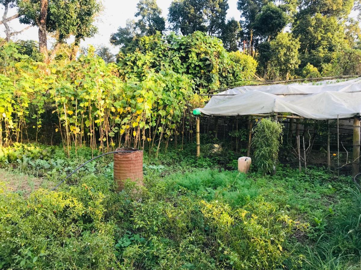 Hom'S Homestay & Farmstay Sarangkot Pokhara Esterno foto