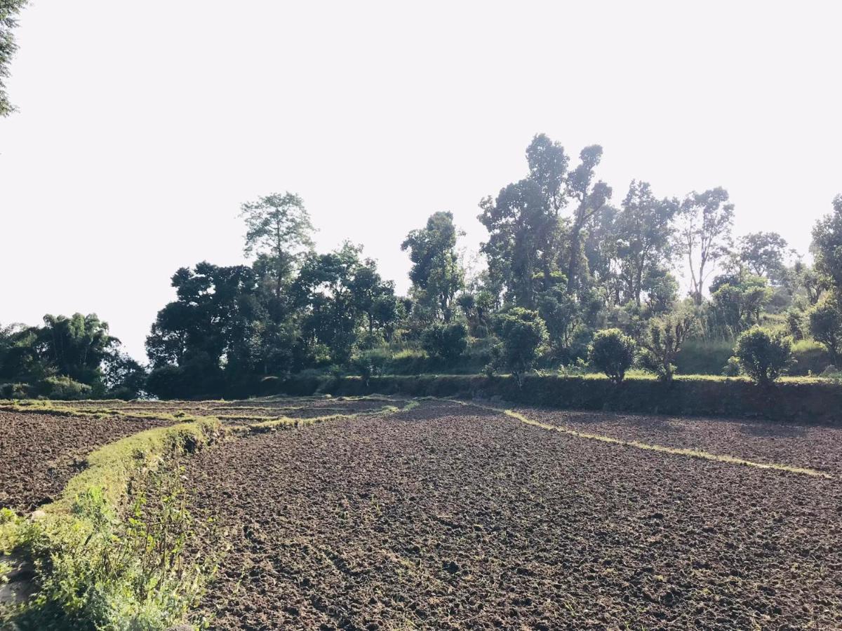 Hom'S Homestay & Farmstay Sarangkot Pokhara Esterno foto