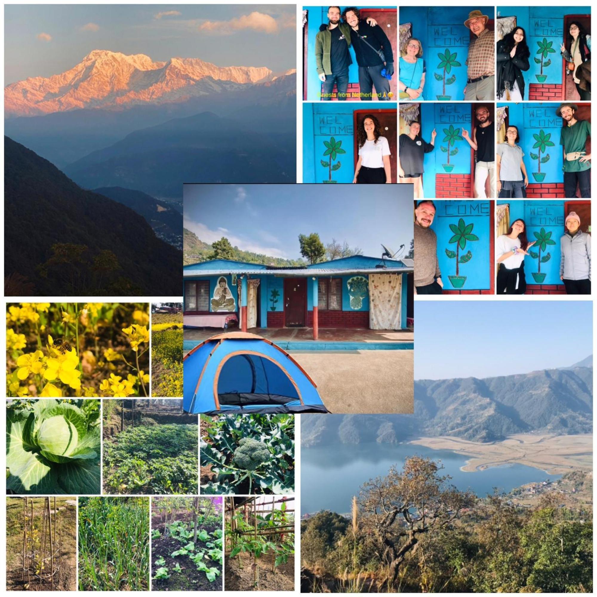 Hom'S Homestay & Farmstay Sarangkot Pokhara Esterno foto